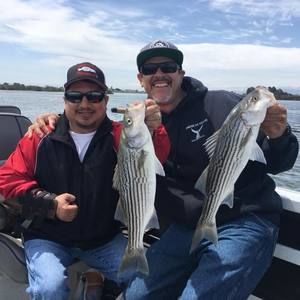 Meet your Posher, Phil